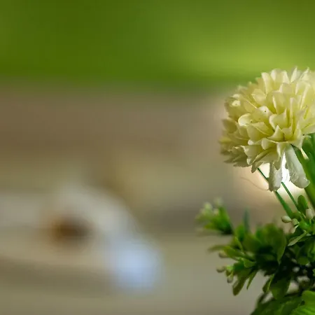 Cairoli Bed & Breakfast 4*