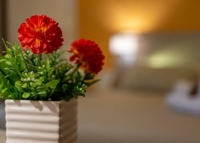 Bed & Breakfast Cairoli Messina